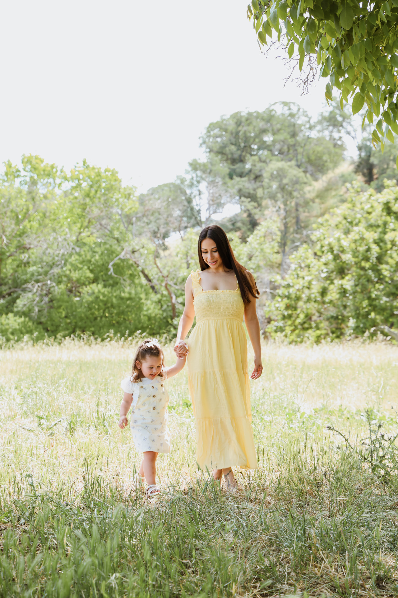 Golden Hour Walk